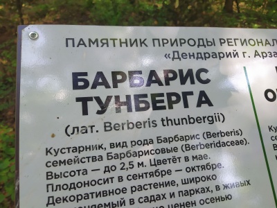 Парк Гайдар - 34.jpg